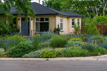 Street view of a nicely landscaped Xeriscape garden with various drought tolerant plants and flowers including Golden Yarrow, Larkspur, Red Yucca, Partridge Feather, Orange Carpet and more.