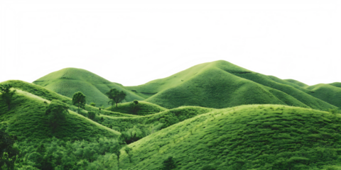 Rolling green hills with scattered trees isolated on a transparent background rolling landscape