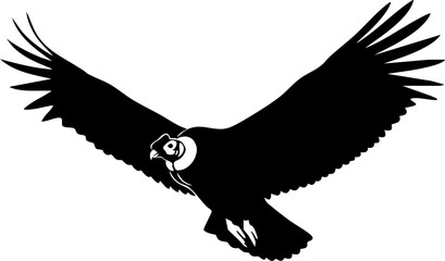 Powerful condor soars with wings spread wide in a majestic flight originally created as vector art © Ali