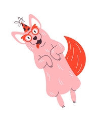 Funny birthday dog fooling around