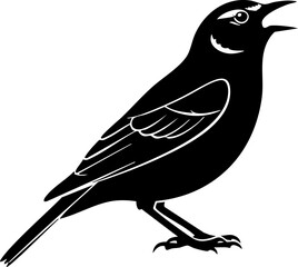 Chirping bird silhouette, a symbol of freedom and nature's song, perfect for wildlife themes.