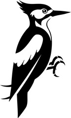 Obraz premium Striking black and white woodpecker perched, ready for nature designs and wildlife projects
