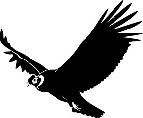 Fototapeta premium Majestic Andean condor soars with powerful wings spread wide in a dynamic flight pose
