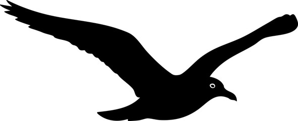 Obraz premium Graceful seagull soaring freely with wings outstretched in dynamic flight across the sky