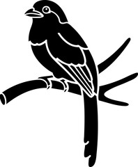 Elegant black bird perched gracefully on a tree branch, symbolizing nature's simple beauty and tranquility