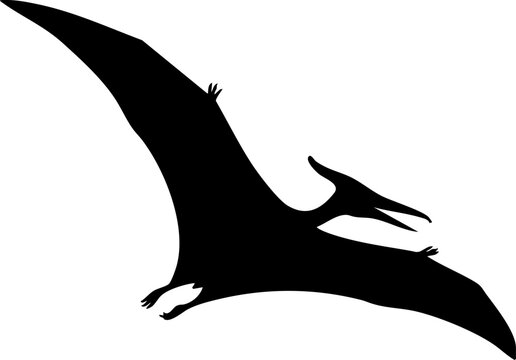 Majestic Pterodactyl silhouette soaring through the sky captures ancient power and prehistoric wonder.