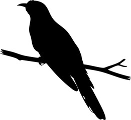 Elegant bird silhouette perched on a branch, bringing natural beauty to any design project.