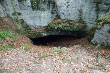 Gruta en el Bosque, con hojas en el suelo