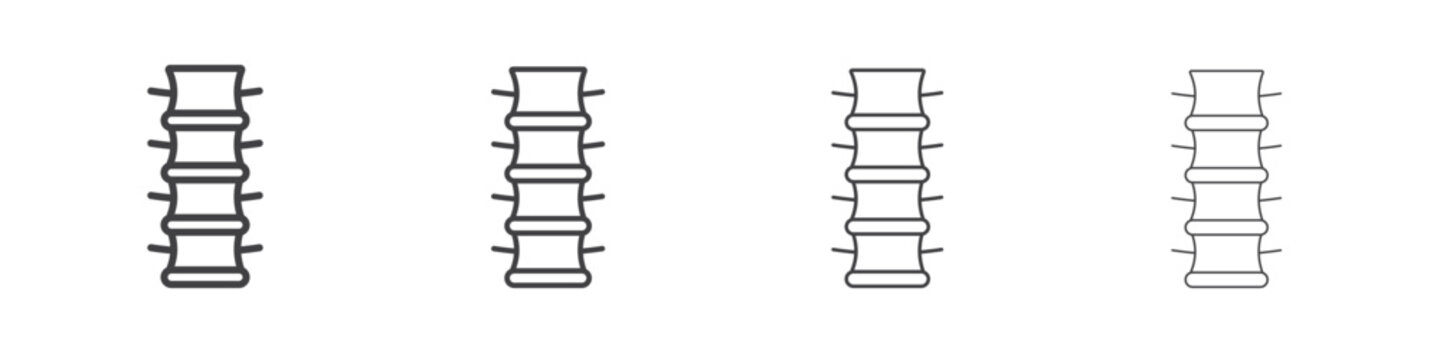 Spinal column icon simple vector line art symbol