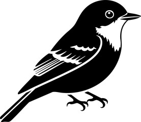 Obraz premium Elegant silhouette of a small songbird perched with detailed feather lines for nature art