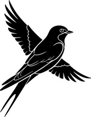 Obraz premium Elegant silhouette of a swift bird in dynamic flight, symbolizing freedom and grace for natural themes.