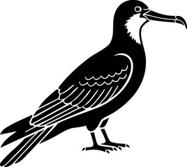 Obraz premium Elegant seabird silhouette poised for flight, capturing wild avian grace and natural beauty.