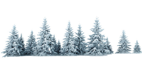Snow covered evergreen trees winter forest landscape isolated on a transparent background