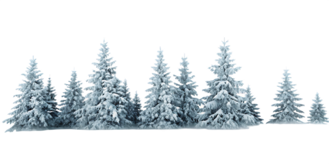 Snow covered evergreen trees winter forest landscape isolated on a transparent background
