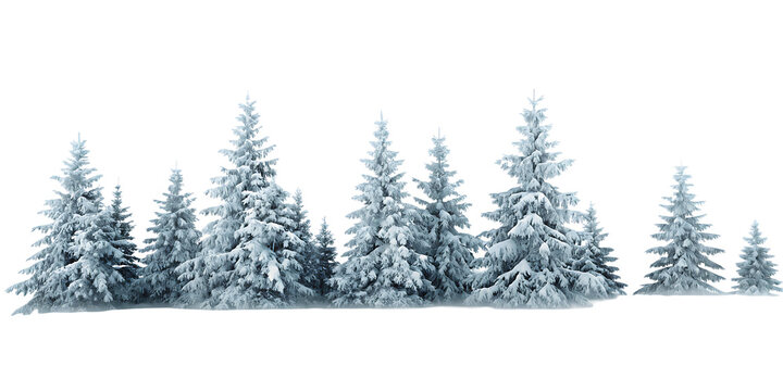 Snow covered evergreen trees winter forest landscape isolated on a transparent background