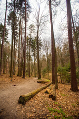 Landscape in Ojcowski National Park, Jura Krakowsko-Częstochowska, Poland