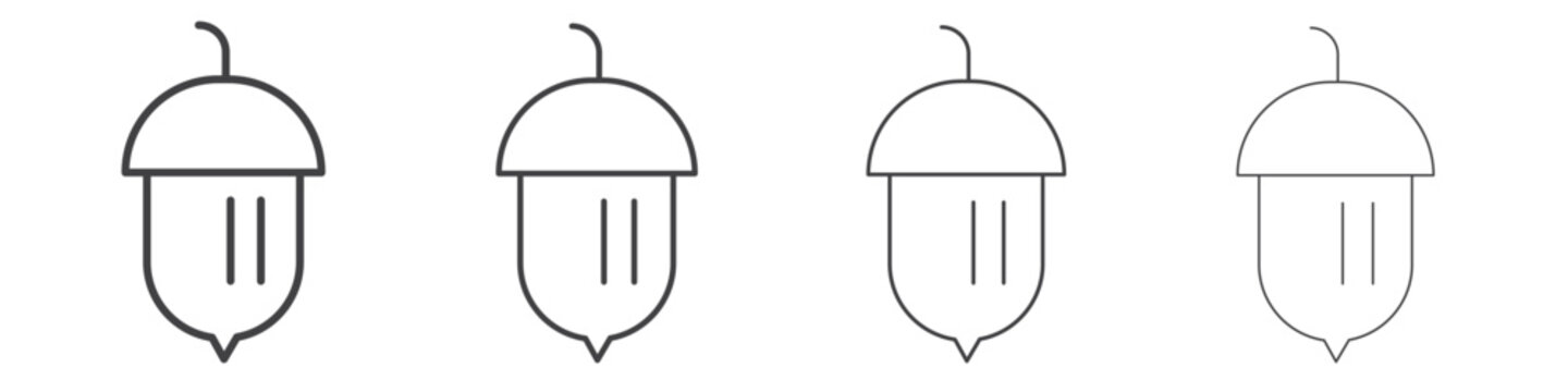 Hazelnut icon simple vector line art symbol