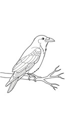 Fototapeta premium Line drawing of a bird perched on a branch against a white background.
