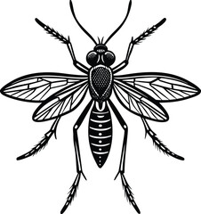 A vector illustration of a black and white beetle with detailed wings, a cricket, and a spider against a white background