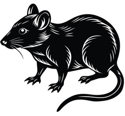 Squirrel and cat vector illustration