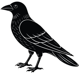 Crow vector illustration of a black bird on a white background