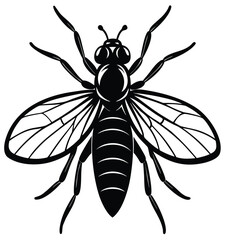 Close-up vector illustration of a black wasp isolated on a white background with a hairy body and detailed wings