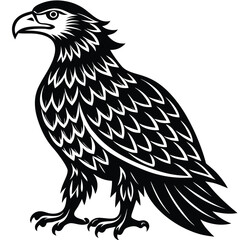 Black and white vector illustration of a bald eagle's head, isolated on a white background, perfect for a tattoo or symbol of freedom