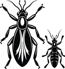 A cartoon illustration of a black and white beetle vector with a Halloween spider design