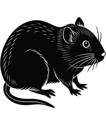 Vector illustration of a black cat and a squirrel sitting isolated cute animals cartoon drawing