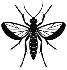 Macro illustration of a black wasp and mosquito isolated on a white background