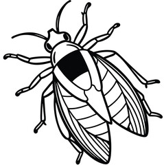 A macro closeup of a black beetle with antennae isolated on a white