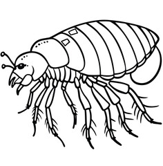 A close-up shot of a gourmet red crayfish shows its fresh, raw claws and antennae, highlighting the beauty of this river crustacean