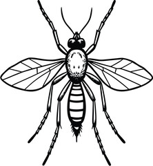 A mosquito and a black spider are isolated on a white background, highlighting the creepy, predatory nature of these insects