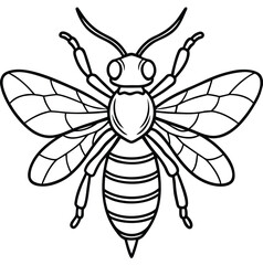 Vector illustration of a cute cartoon bee and wasp on white background