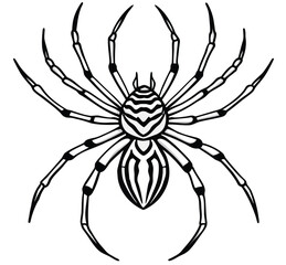 Spider on white background with web vector illustration