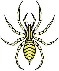 Spider isolated on a white background close-up vector illustration