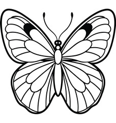 Black and white butterfly vector illustration on white background