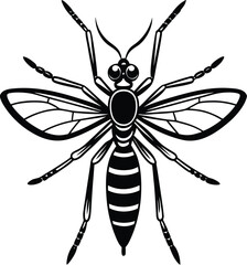 Vector illustration of a mosquito and black and white beetle on white background