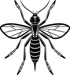 Vector illustration of a mosquito isolated on a white background