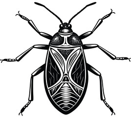 Black and white illustration of a Colorado potato beetle isolated on a white background
