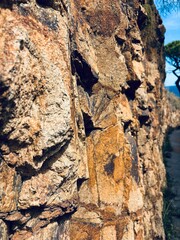 Rocas