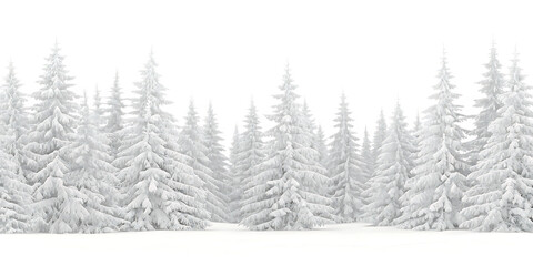 Snow covered pine trees on white background png isolated on a transparent background