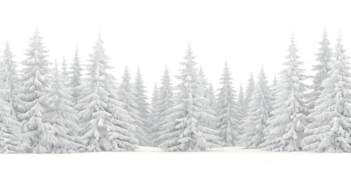 Snow covered pine trees on white background png isolated on a transparent background - Powered by Adobe