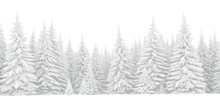 Snow covered pine trees on white background isolated on a transparent background