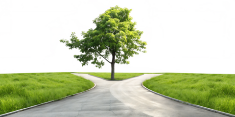 Tree at Crossroads in Green Field isolated on a transparent background path fork in road