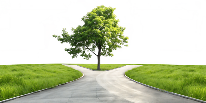 Tree at Crossroads in Green Field isolated on a transparent background path fork in road