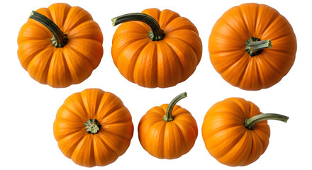 Six small orange pumpkins with green stems, isolated on transparent background