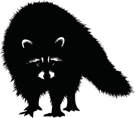 Obraz premium Raccoon vector hand drawn line art in nature, raccoon silhouette with detailed fur — stock vector
