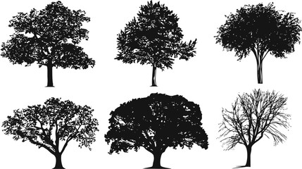 Fototapeta premium Tree vector hand drawn line art in nature, tree silhouettes set in black style — stock vector