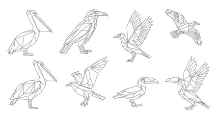 Geometric Line Art of Various Birds